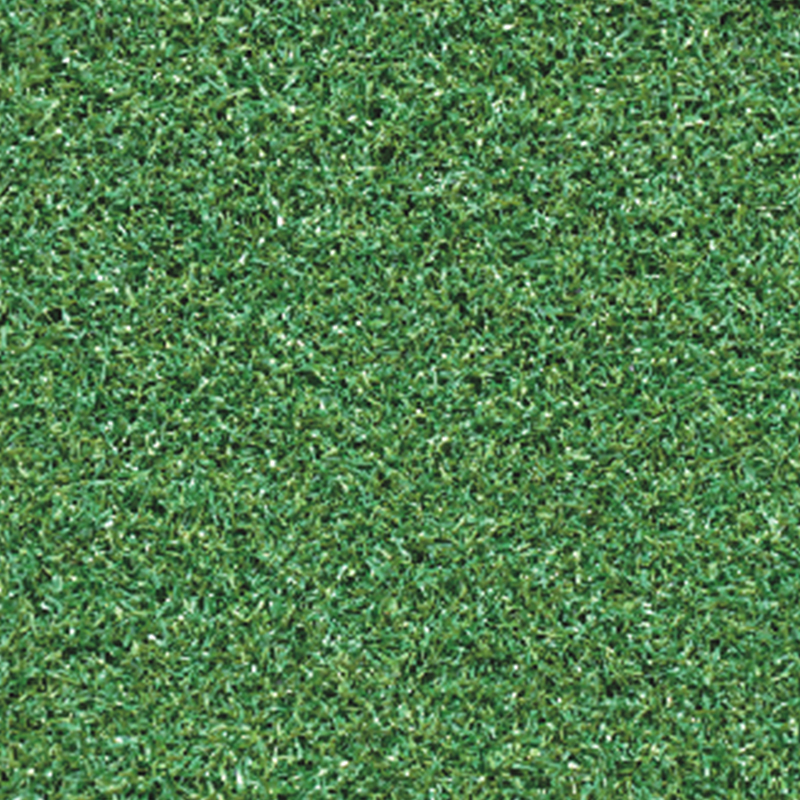 Landscape Grass